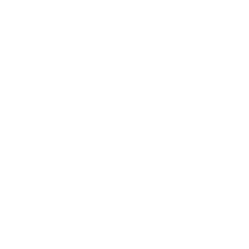 01 chimney sweeping