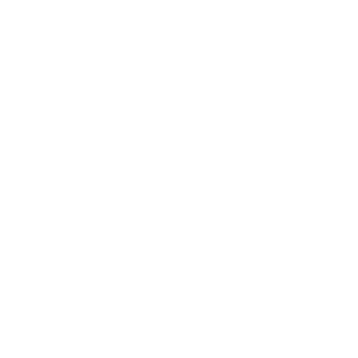 03 chimney repair