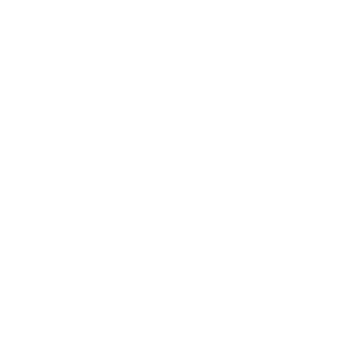 11 wood stove service